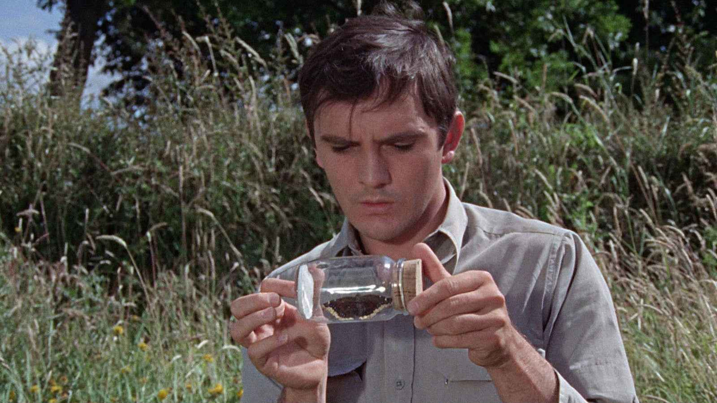The Collector (1965) Terence Stamp, Samantha Eggar - Thriller DVD (Disc Only)