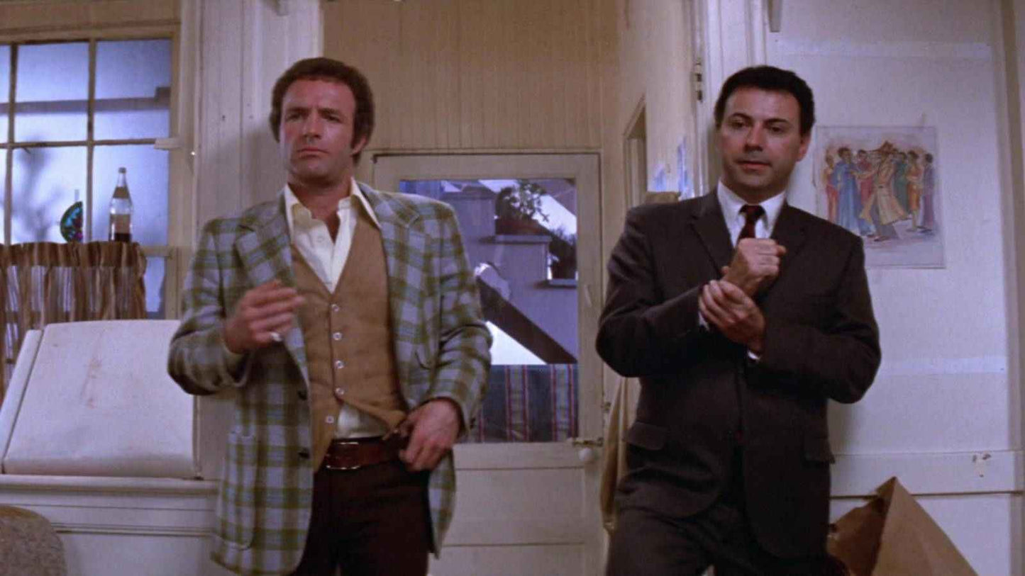 Freebie and the Bean (1974) James Caan - Crime Comedy DVD (Disc Only)