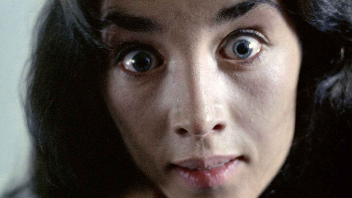 Possession (1981) Isabelle Adjani, Sam Neill - Horror DVD (Disc Only)