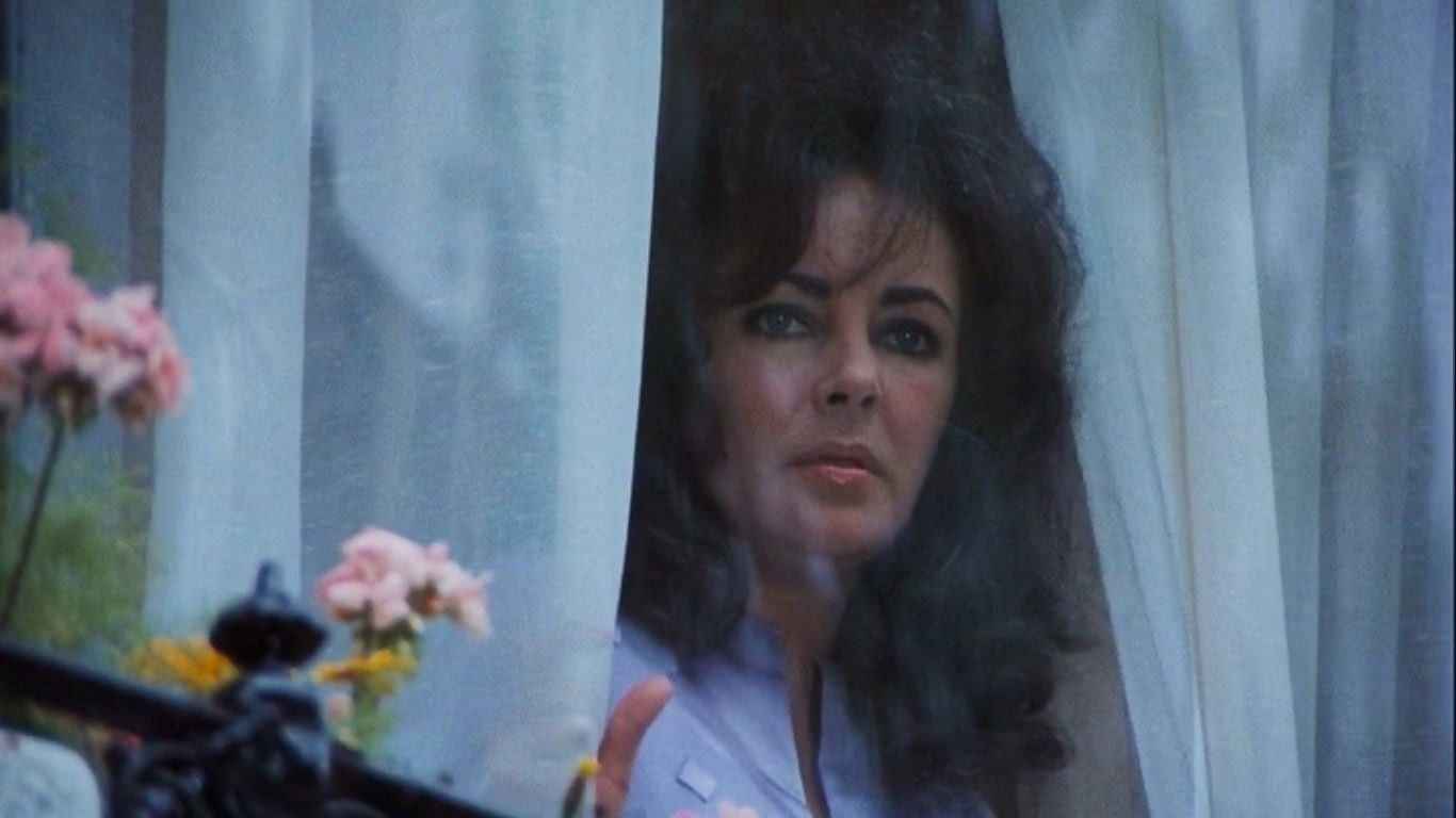 Night Watch (1973) Elizabeth Taylor, Laurence Harvery – Maytery Thriller Horror DVD (Disc Only)