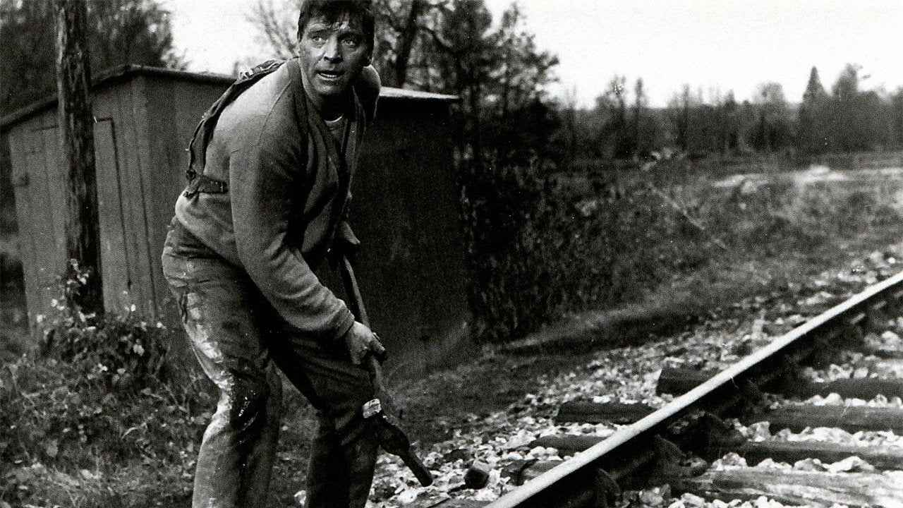 The Train (1964) Burt Lancaster, Paul Scofield – War Thriller DVD (Disc Only)