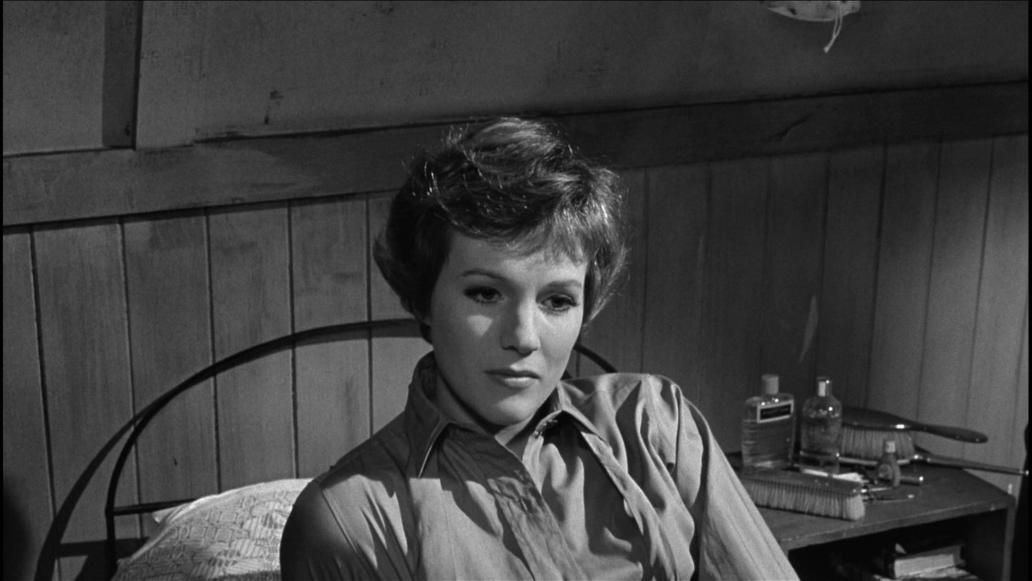 The Americanization of Emily (1964) Julie Andrews Public Domain DVD - NO CASE