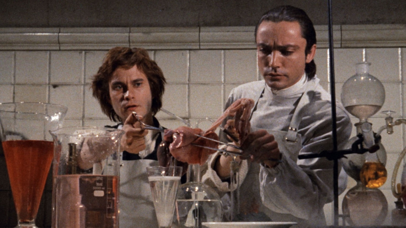Andy Warhol's Flesh for Frankenstein (1973) Horror, Public Domain DVD NO CASE