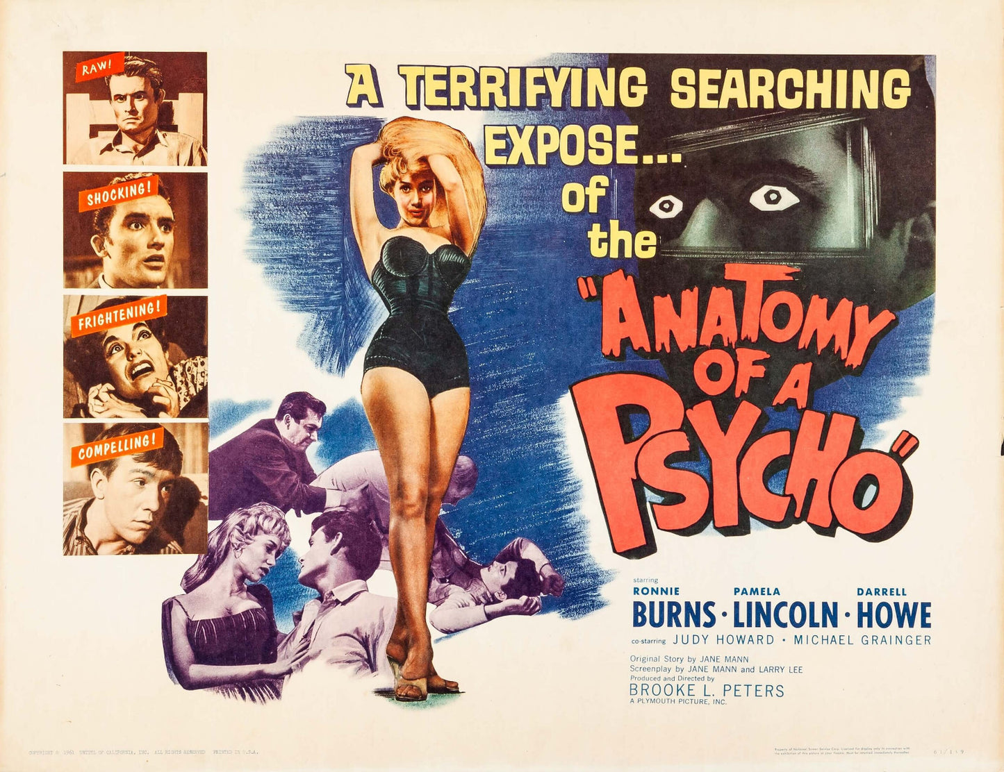 Anatomy of a Psycho (1961) Film Noir DVD Ronnie Burns Public Domain (Disc Only)