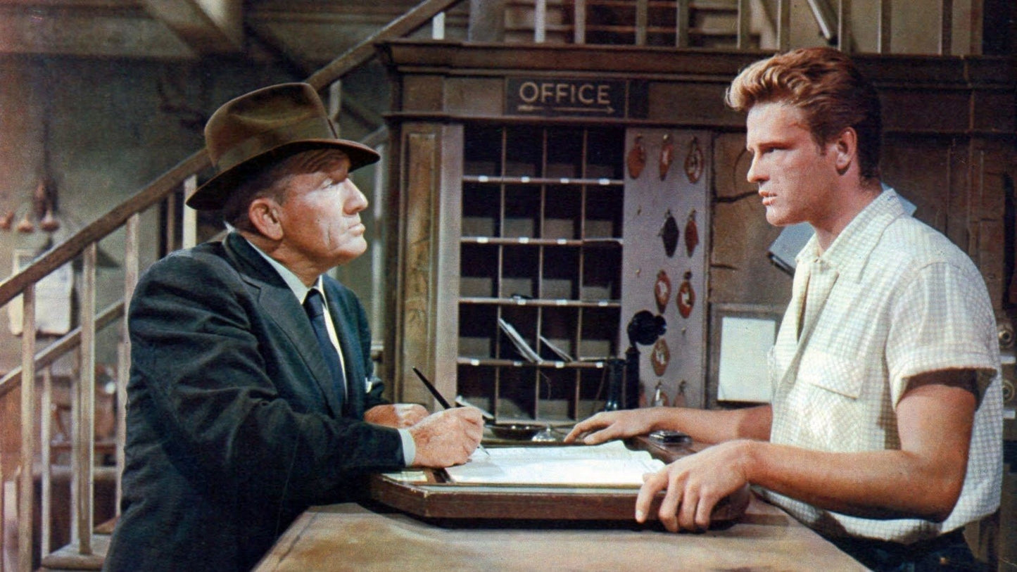 Bad Day at Black Rock (1955) Western Spencer Tracy DVD Public Domain NO CASE