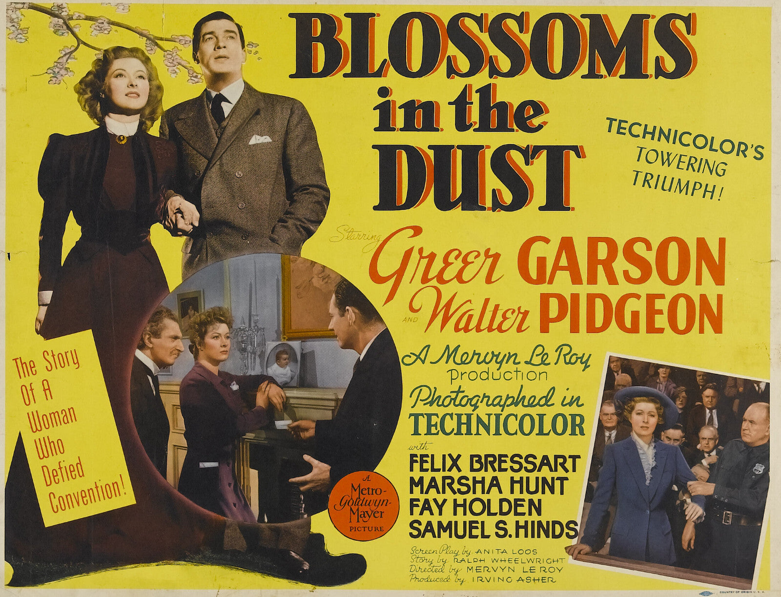 Blossoms in the Dust (1941) Biography Greer Garson DVD Public domain (Disc Only)