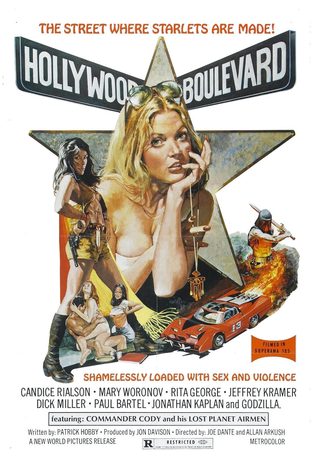 Hollywood Boulevard (1976) Candice Rialson Dick Miller Public Domain DVD NO CASE