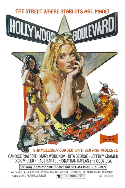 Hollywood Boulevard (1976) Candice Rialson Dick Miller Public Domain DVD NO CASE