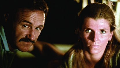 Night Moves (1975) Thriller Gene Hackman Susan Clark Public Domain DVD Disc Only