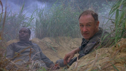 Bat 21 (1988) War Drama, Gene Hackman, Danny Glover, Public Domain DVD NO CASE