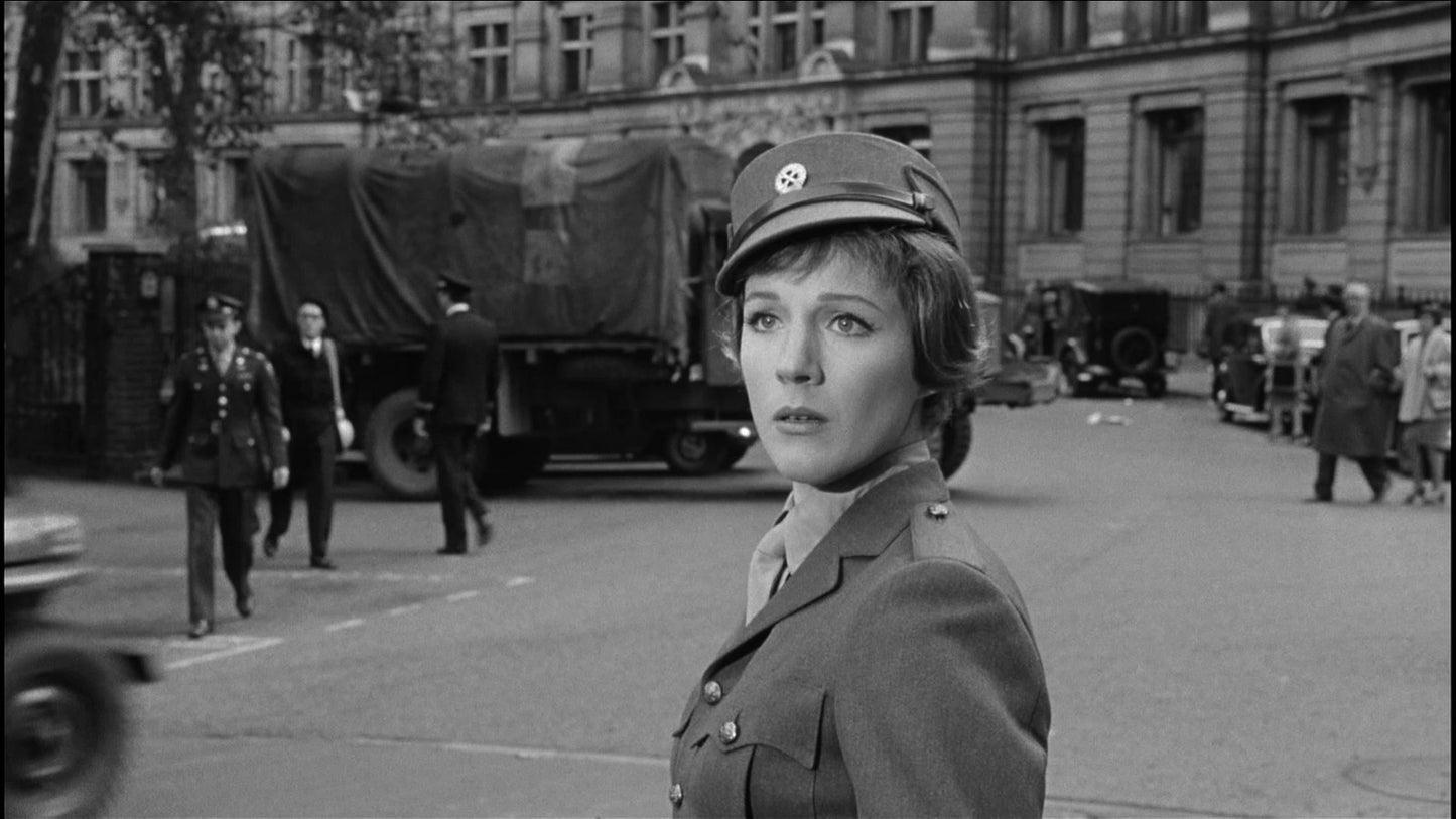 The Americanization of Emily (1964) Julie Andrews Public Domain DVD - NO CASE