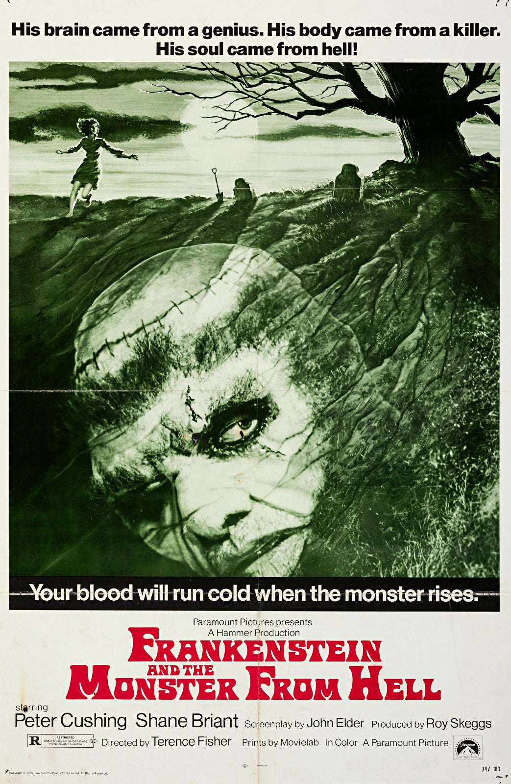 Frankenstein and the Monsters from Hell (1974) Horror Public Domain DVD NO CASE