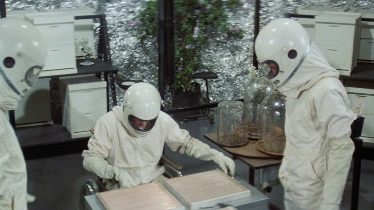 The Swarm (1978) Irwin Allen Sci-Fi DVD Michael Caine Public Domain DISC ONLY