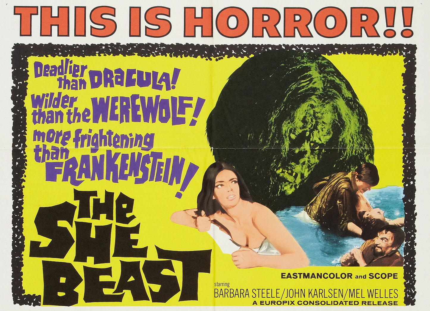 The She Beast (1966) Horror - Barbara Steele DVD Public domain film (Disc Only)
