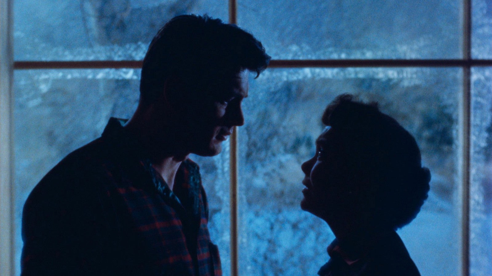All that Heaven Allows (1955) Jane Wyman, Rock Hudson Public Domain DVD NO CASE