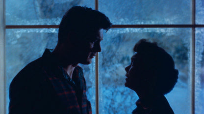 All that Heaven Allows (1955) Jane Wyman, Rock Hudson Public Domain DVD NO CASE