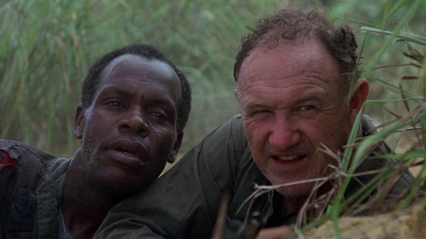 Bat 21 (1988) War Drama, Gene Hackman, Danny Glover, Public Domain DVD NO CASE