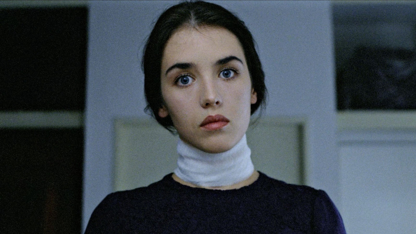 Possession (1981) Horror, Isabelle Adjani, Sam Neill, Public Domain DVD NO CASE