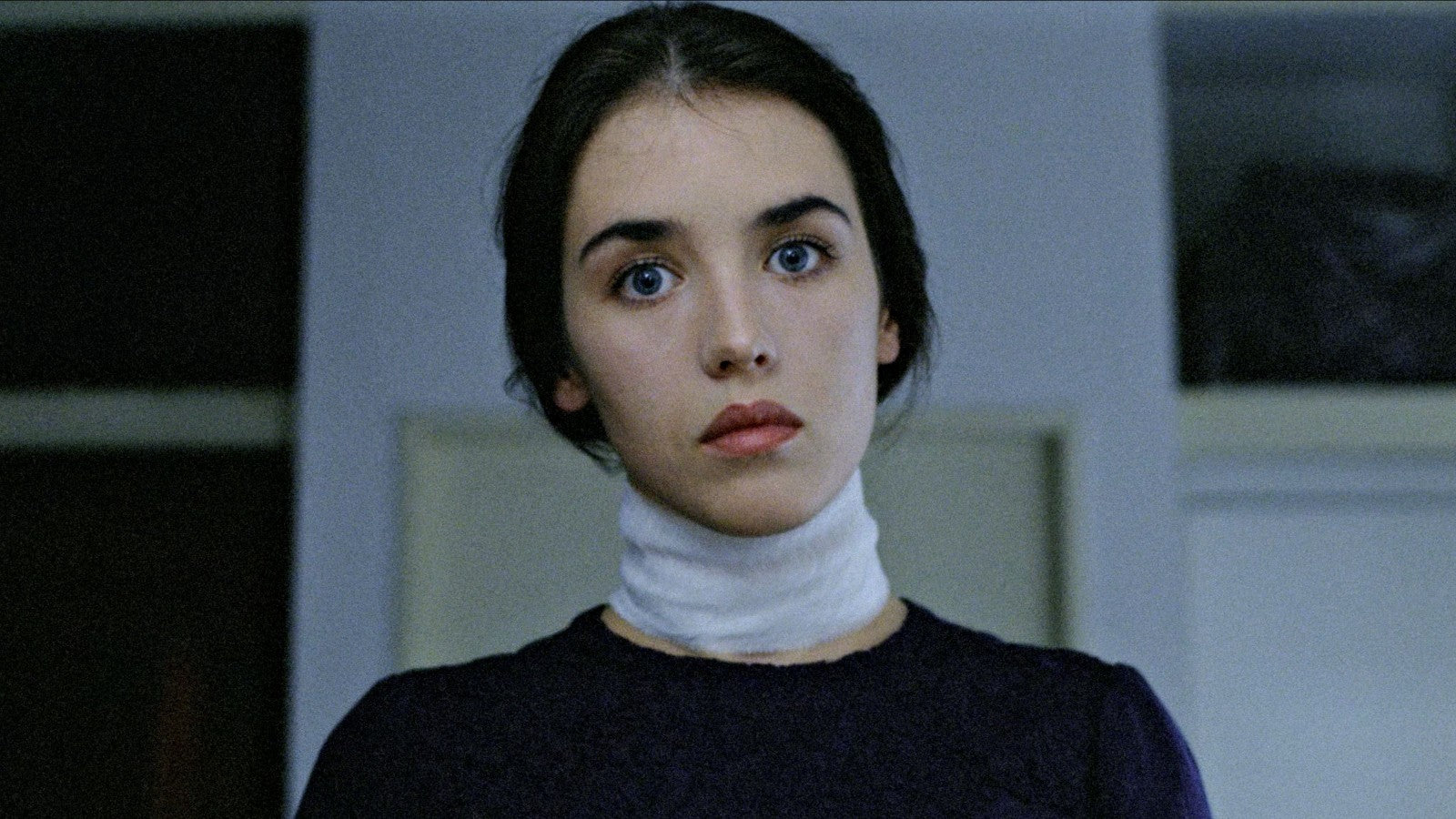 Possession (1981) Horror, Isabelle Adjani, Sam Neill, Public Domain DVD NO CASE
