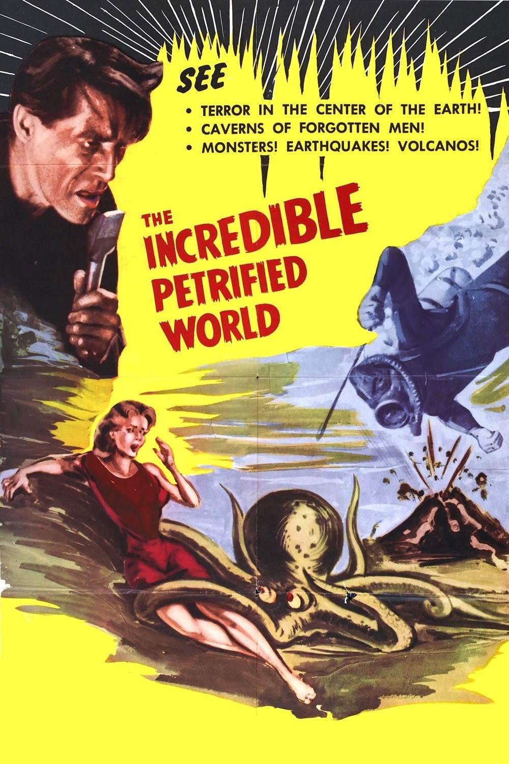 The Incredible Petrified World (1957) Adventure Sci-Fi DVD Public Domain NO CASE