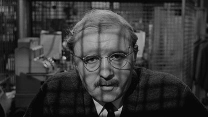 The Pawnbroker (1964) Rod Steiger Geraldine Fitzgerald Public Domain DVD NO CASE