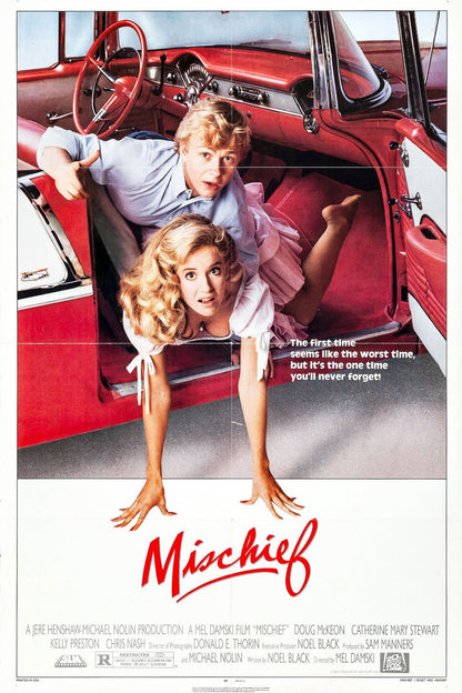 Mischief (1985) Comedy DVD Catherine Stewart Doug McKeon Public Domain NO CASE