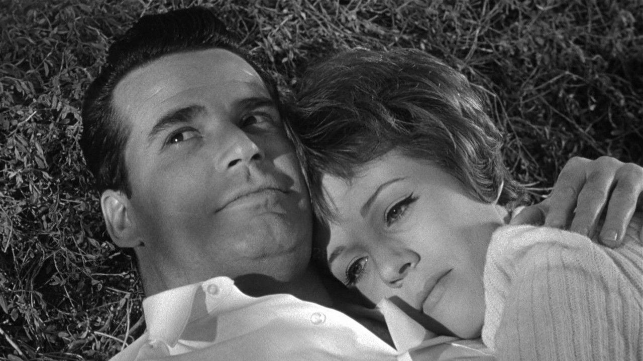 The Americanization of Emily (1964) Julie Andrews Public Domain DVD - NO CASE