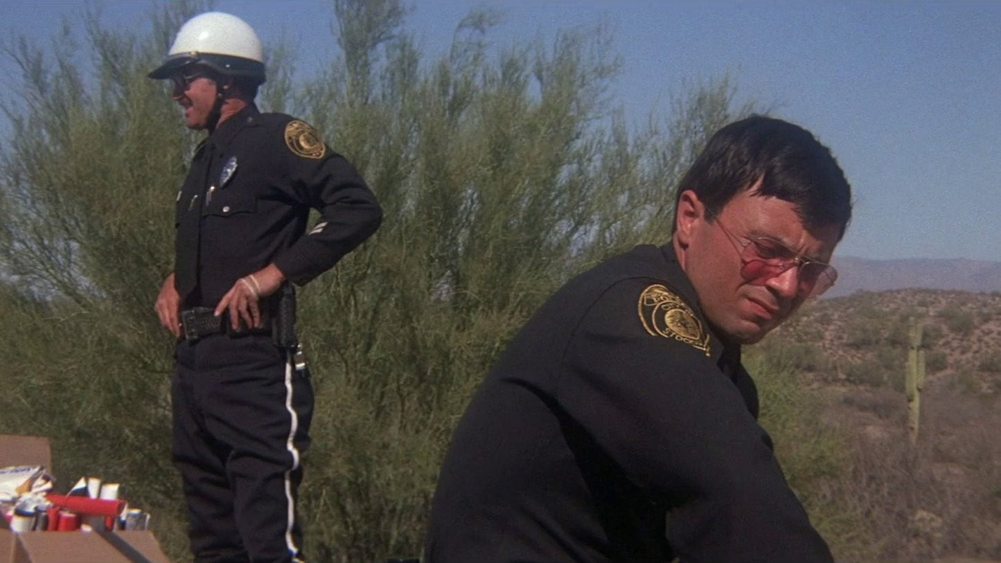 Electra Glide in Blue 1973 Robert Blake Jeannine Riley Public Domain DVD NO CASE