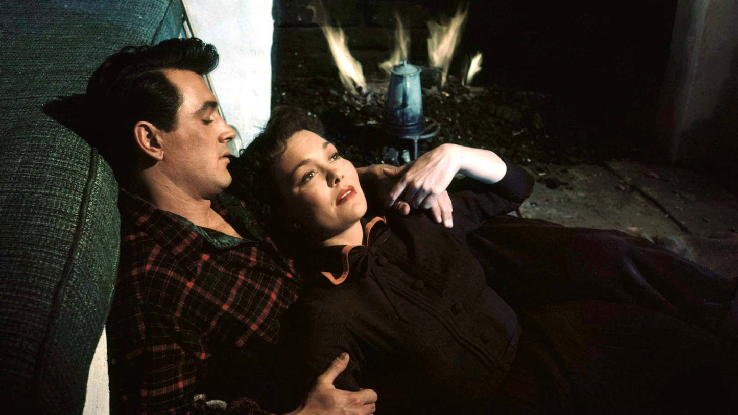 All that Heaven Allows (1955) Jane Wyman, Rock Hudson Public Domain DVD NO CASE