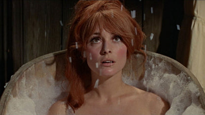 The Fearless Vampire Killers (1967) Roman Polanski Public Domain DVD NO CASE