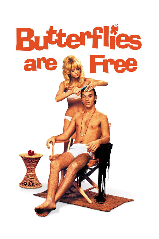 Butterflies are Free (1972) Goldie Hawn, Edward Albert – Comedy Romance DVD (Disc Only)