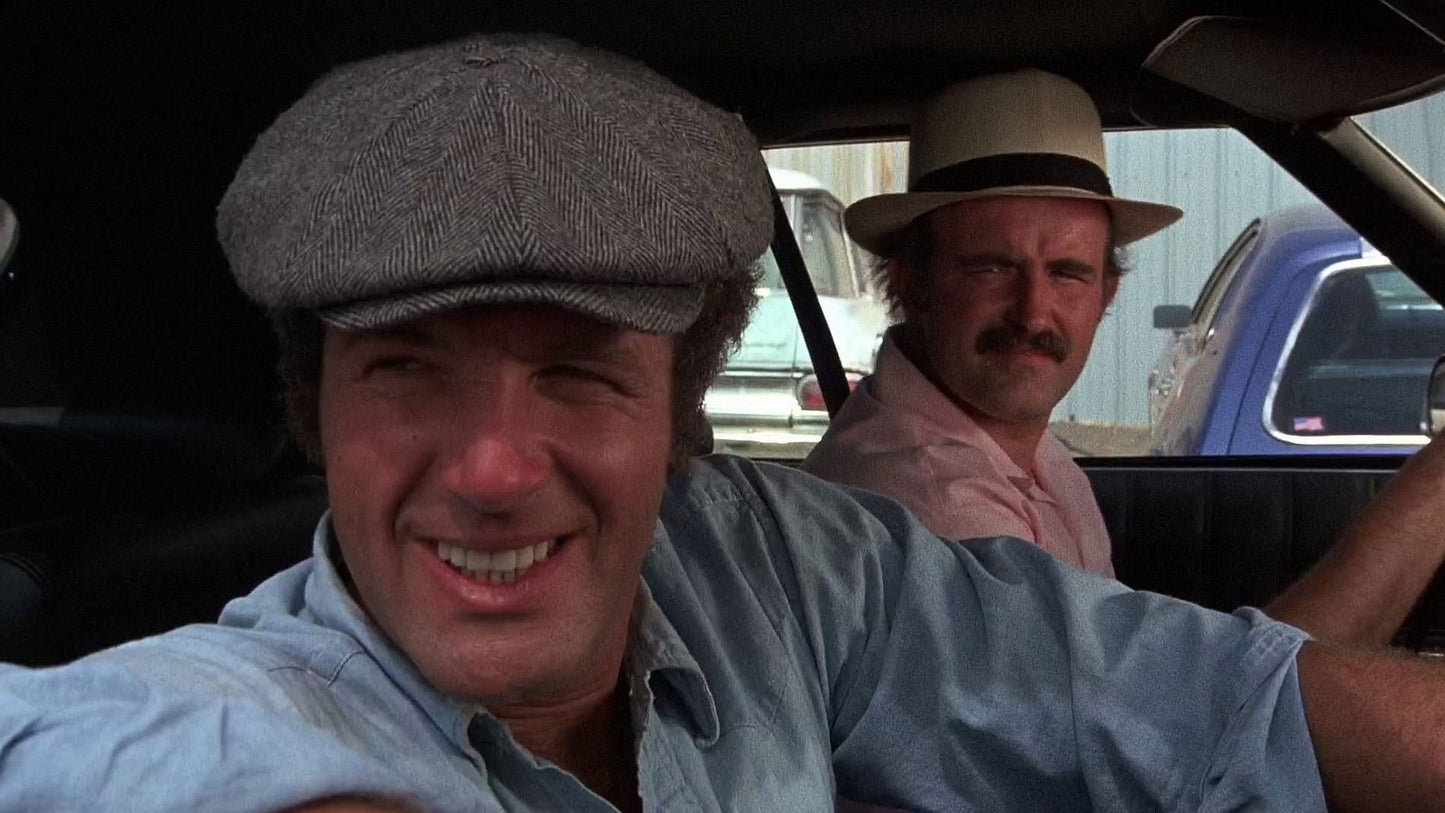 Slither (1973) James Caan, Peter Boyle – Comedy Crime Thriller (DVD Only)
