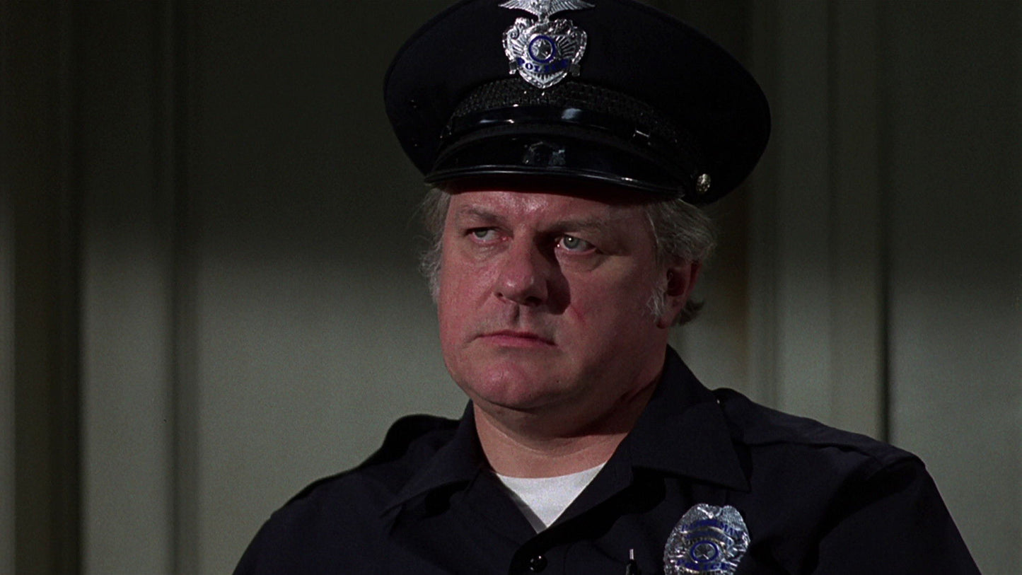 The Choirboys (1977) Randy Quaid, Charles Durning – Crime Comedy (DVD disc only) - FREE UK P&P