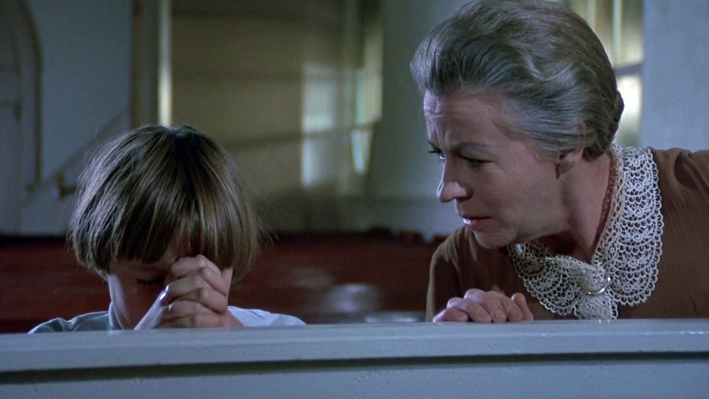 The Other (1972) Uta Hagen, Diana Muldaur – Horror Mystery Drama (DVD Only) FREE UK P&P