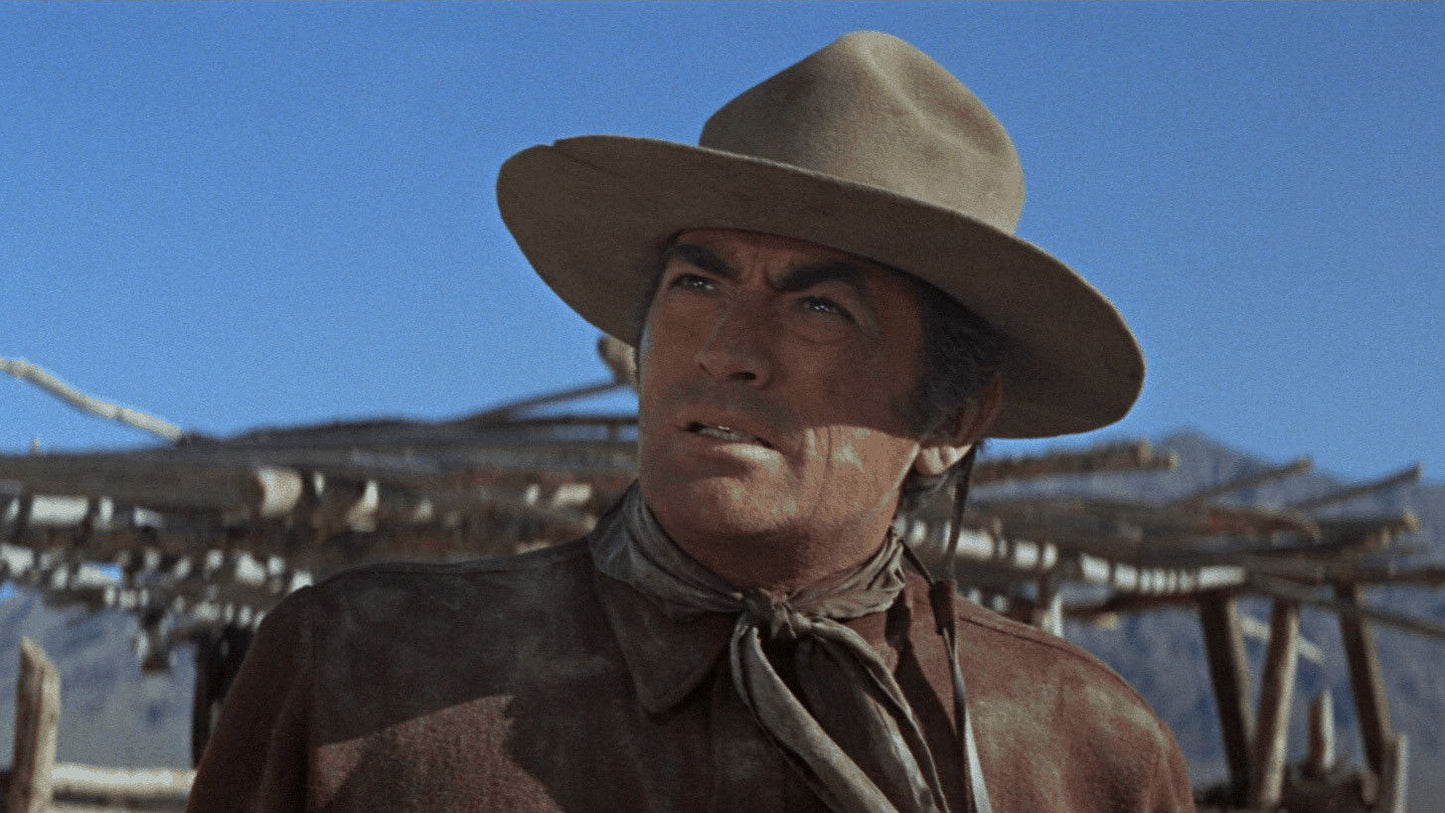 The Stalking Moon (1968) Gregory Peck, Eva Marie Saint – Western (DVD Only)
