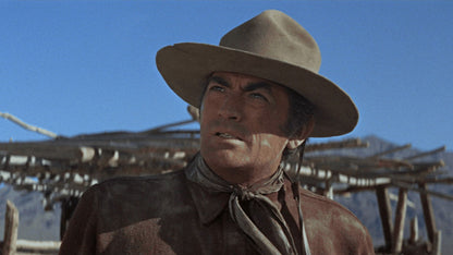 The Stalking Moon (1968) Gregory Peck, Eva Marie Saint – Western (DVD Only)