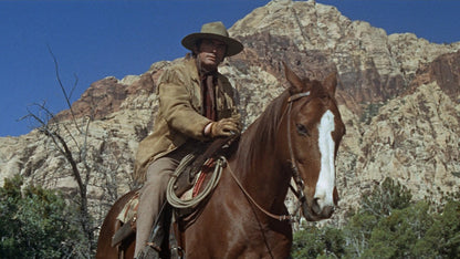 The Stalking Moon (1968) Gregory Peck, Eva Marie Saint – Western (DVD Only)