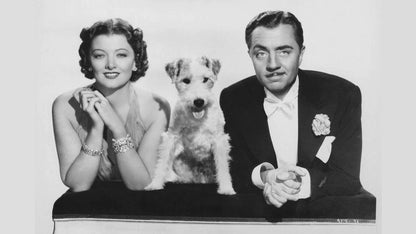 The Thin Man (1934) Maureen O'Sullivan, William Powell – Crime Comedy Mystery (DVD Disc Only) – FREE UK P&P