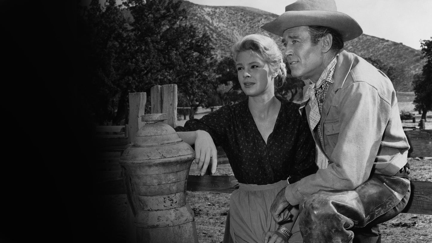 The Tin Star (1957) Anthony Perkins, Henry Fonda - Western (DVD Only) FREE UK P&P