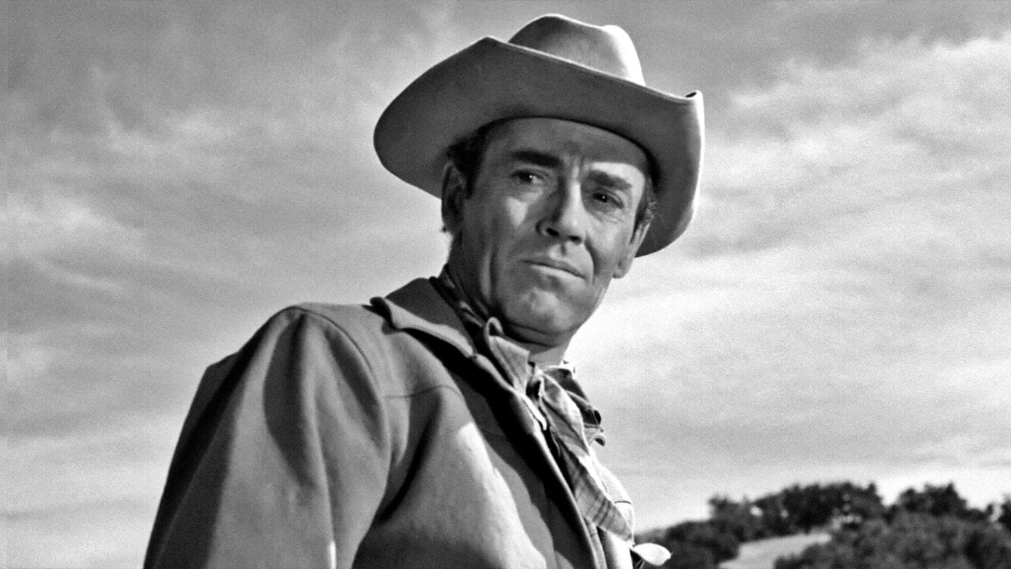 The Tin Star (1957) Anthony Perkins, Henry Fonda - Western (DVD Only) FREE UK P&P