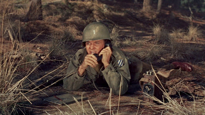 To Hell and Back (1955) Audie Murphy, Marshall Thompson  - War Drama (DVD disc only) - FREE UK P&P