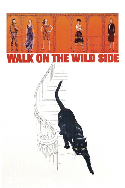 Walk on the Wild Side (1962) Barbara Stanwyck, Jane Fonda – Drama (DVD disc only) - FREE UK P&P
