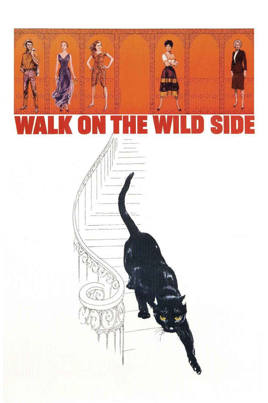 Walk on the Wild Side (1962) Barbara Stanwyck, Jane Fonda – Drama DVD (Disc Only)