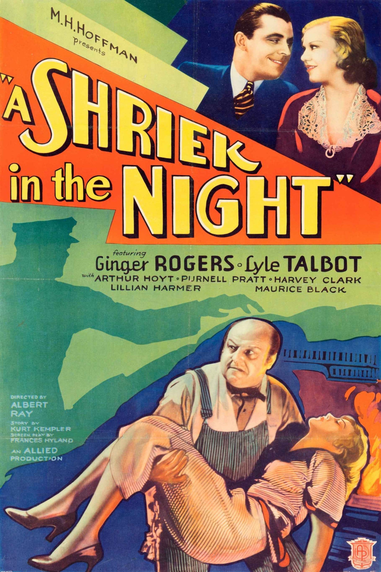 A Shriek in the Night (1933) Ginger Rogers - Mystery, Thriller, Horror DVD (Disc Only)