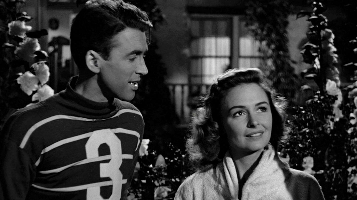 It's a Wonderful Life! (1946) Frank Capra, James Stewart, Donna Reed – Christmas Family Drama DVD (Disc Only)