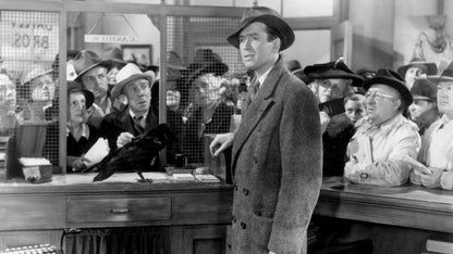 It's a Wonderful Life! (1946) Frank Capra, James Stewart, Donna Reed – Christmas Family Drama DVD (Disc Only)