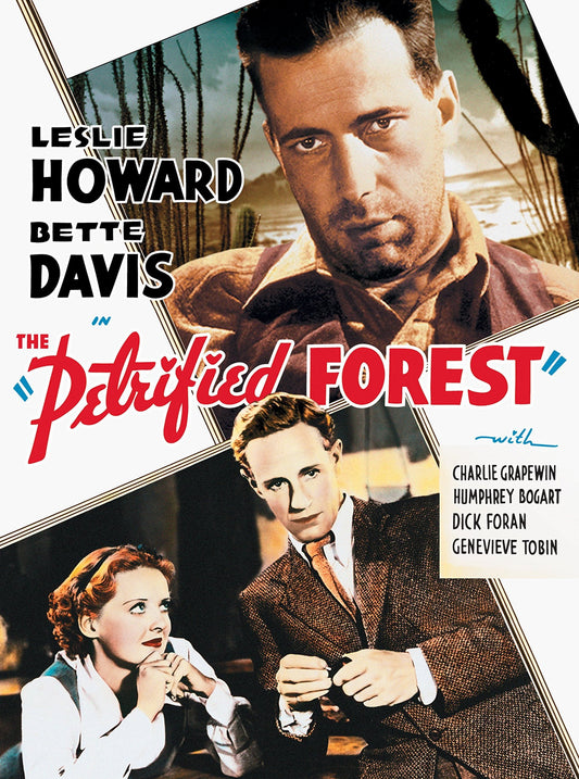 The Petrified Forest (1936) Bette Davis - Crime Drama Romance Thriller DVD (Disc Only)